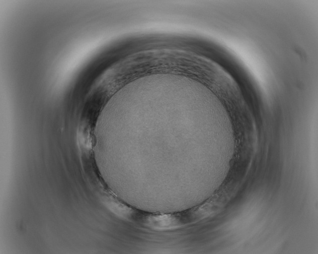 X0000110730431200906191529