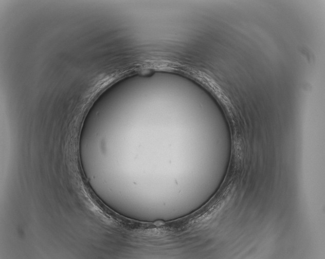 X0000110730433200906191529