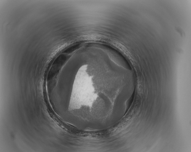 X0000110730434200906191529