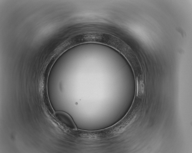 X0000110730435200906191529