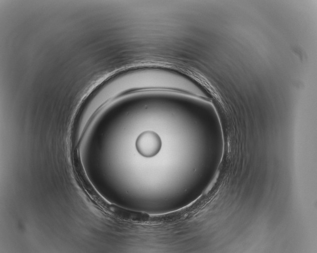 X0000110730436200906191529