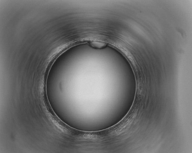 X0000110730437200906191529