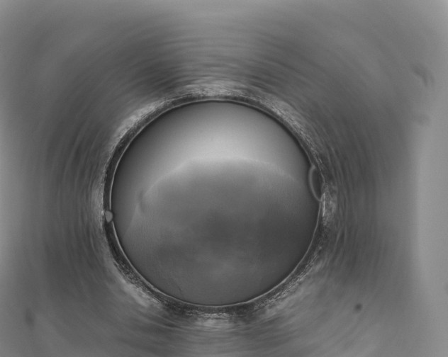 X0000110730438200906191529