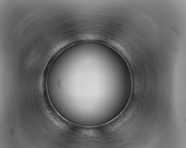 X0000110730439200906191529