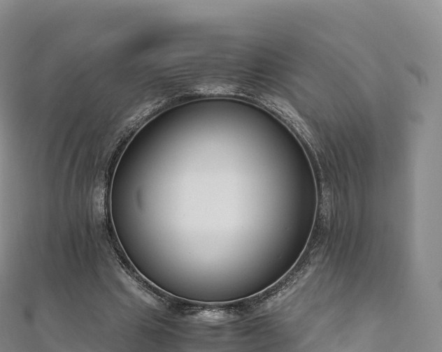 X0000110730441200906191529