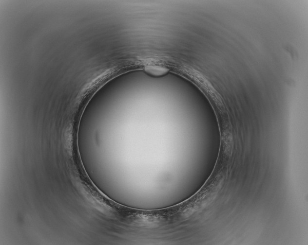 X0000110730442200906191529