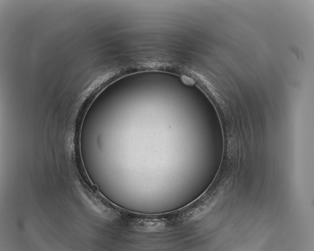 X0000110730443200906191529