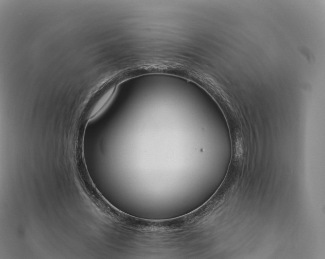 X0000110730444200906191529