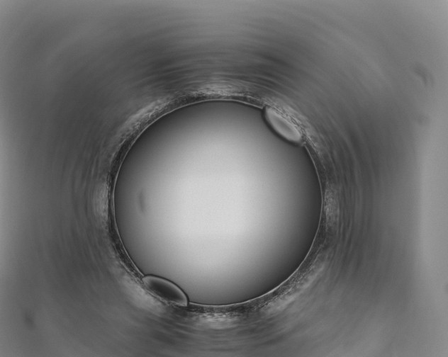 X0000110730445200906191529