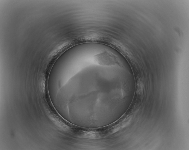 X0000110730446200906191529