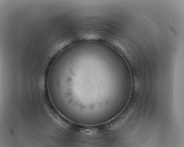 X0000110730447200906191529