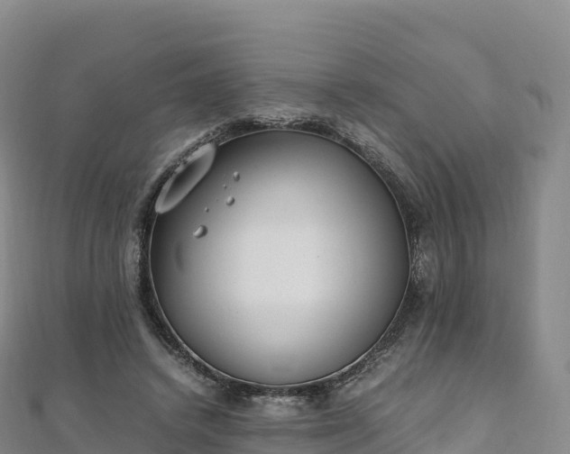 X0000110730448200906191529