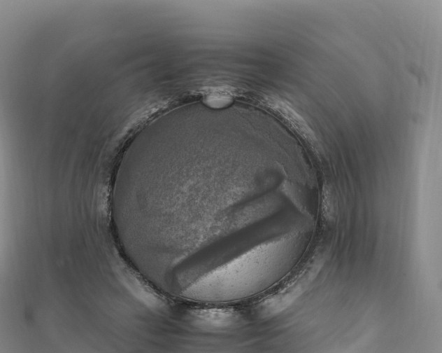 X0000110730449200906191529