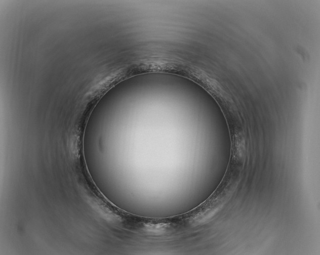 X0000110730450200906191529