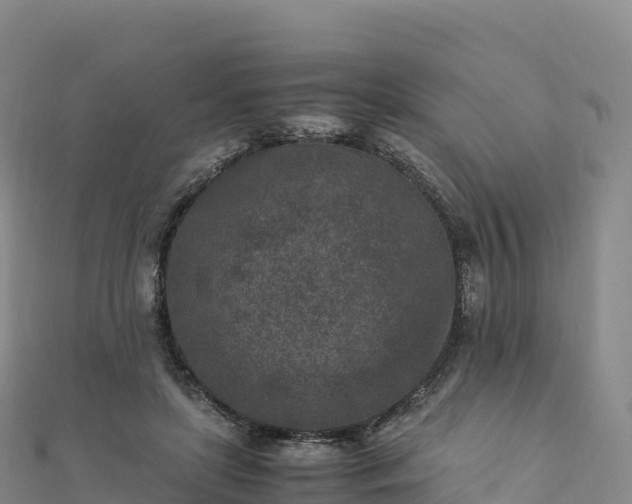 X0000110730451200906191529