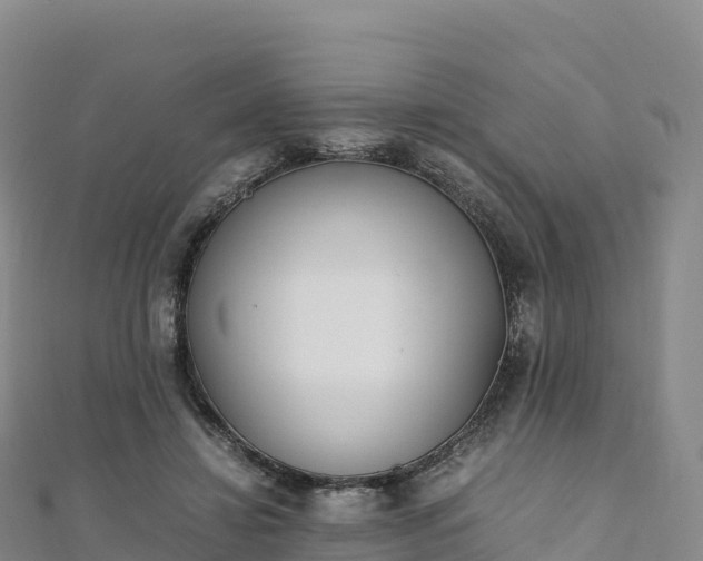 X0000110730452200906191529