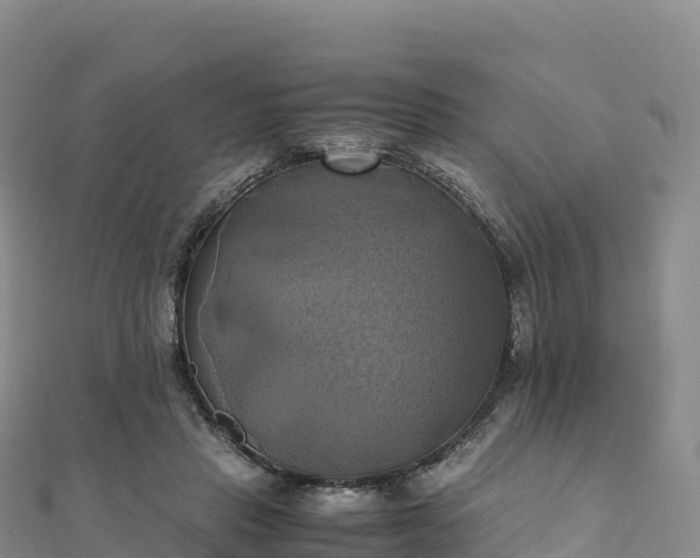 X0000110730453200906191529