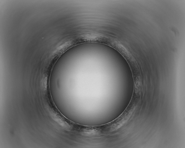 X0000110730454200906191529