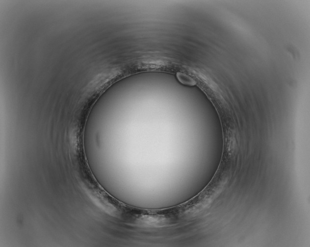 X0000110730455200906191529