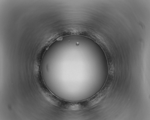 X0000110730456200906191529