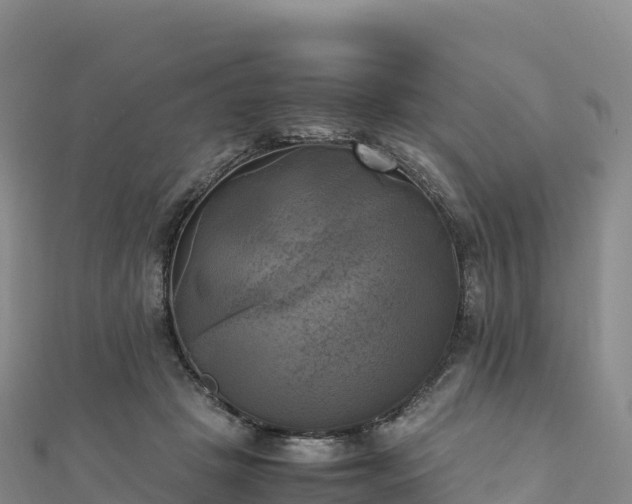 X0000110730457200906191529