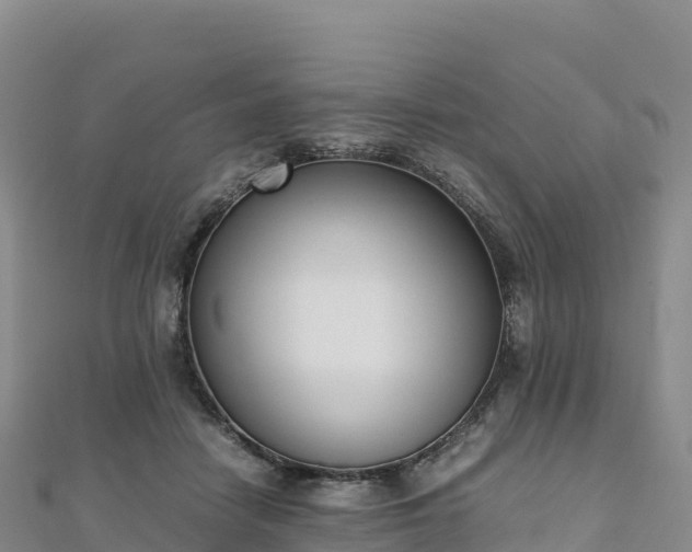 X0000110730458200906191529