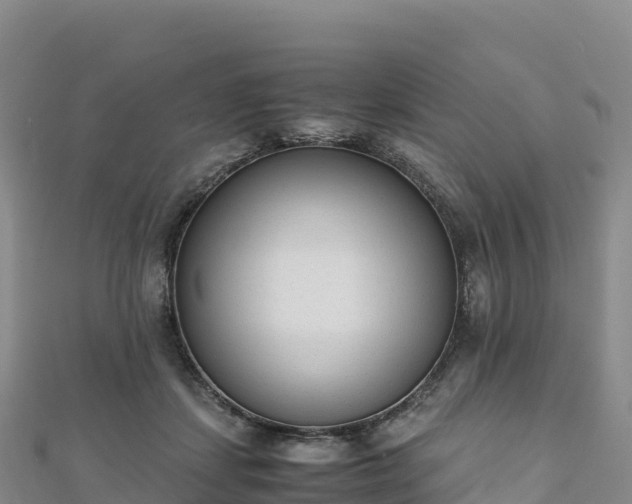 X0000110730459200906191529