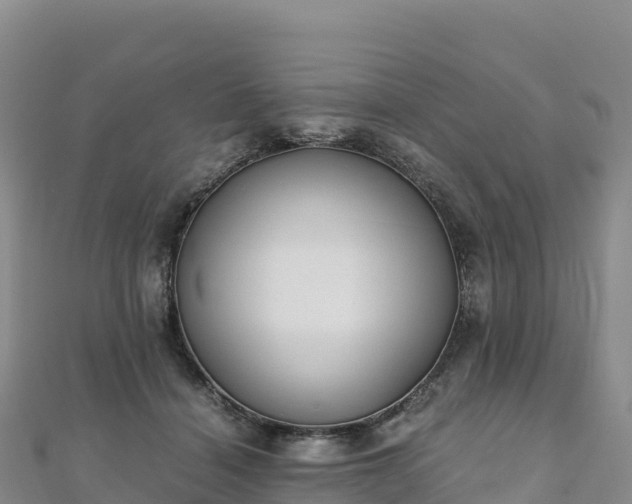 X0000110730460200906191529