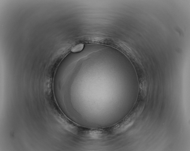 X0000110730462200906191529