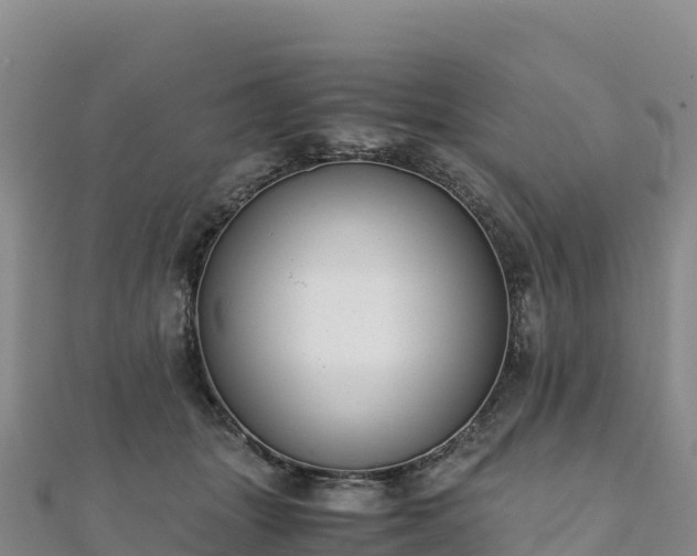 X0000110730463200906191529