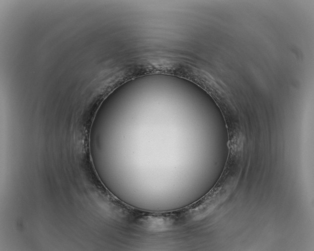 X0000110730464200906191529