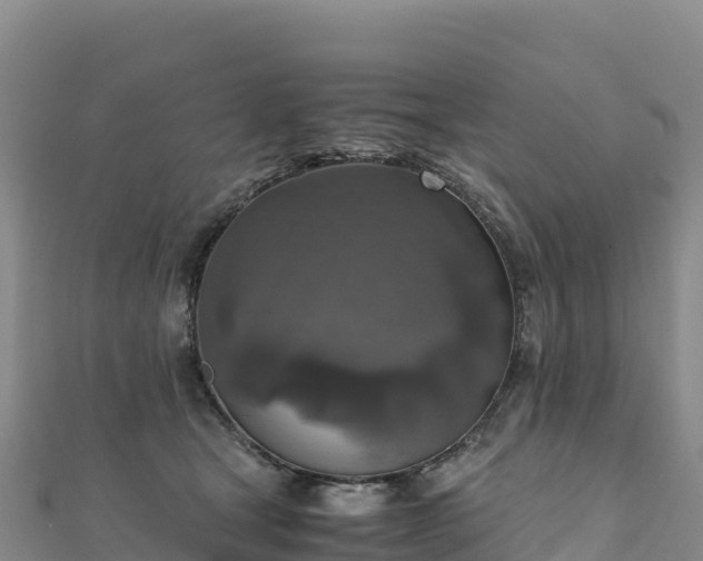 X0000110730465200906191529