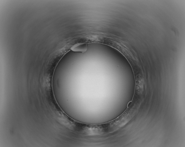 X0000110730466200906191529