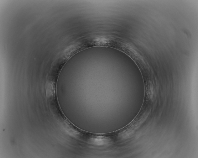 X0000110730467200906191529