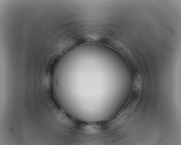 X0000110730468200906191529