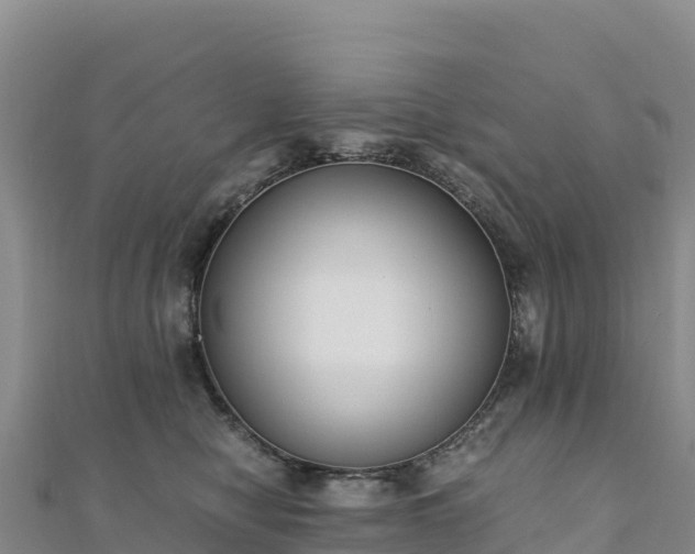 X0000110730470200906191529