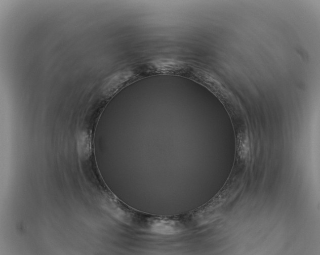 X0000110730471200906191529