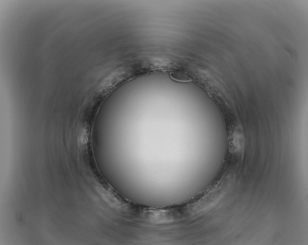 X0000110730472200906191529