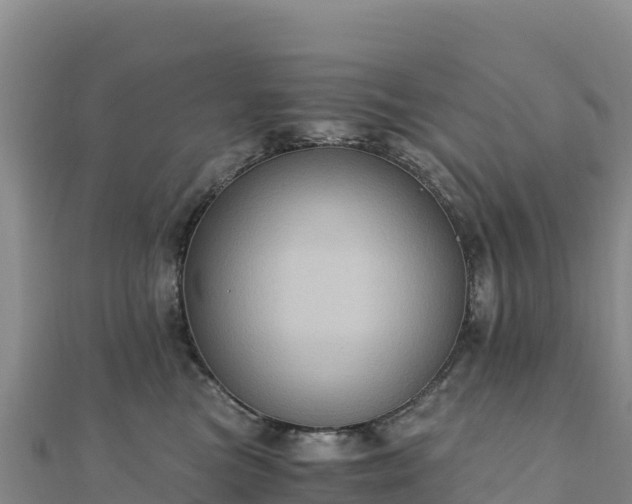 X0000110730473200906191529