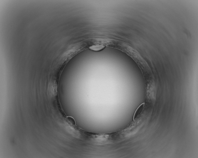 X0000110730474200906191529