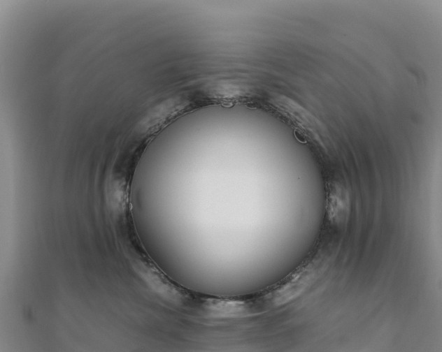 X0000110730476200906191529