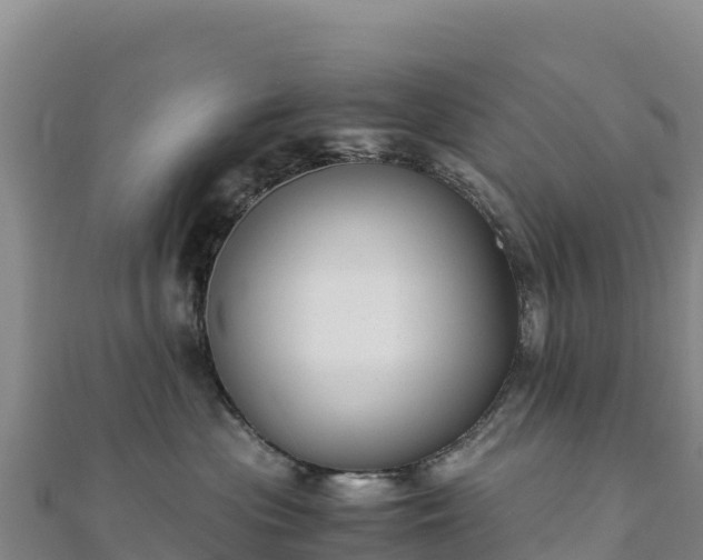 X0000110730477200906191529