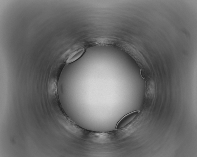 X0000110730478200906191529