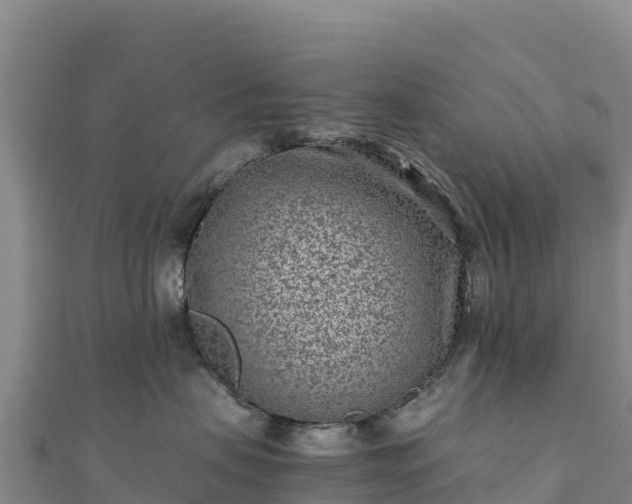 X0000110730479200906191529