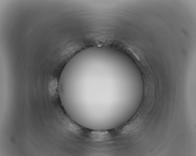 X0000110730480200906191529