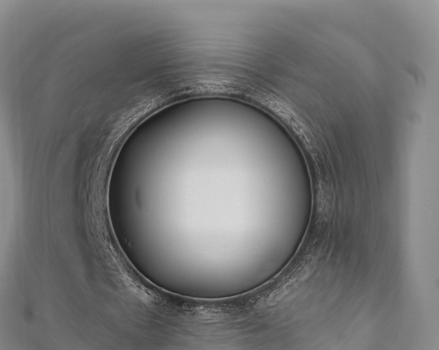 X0000110730481200906191529