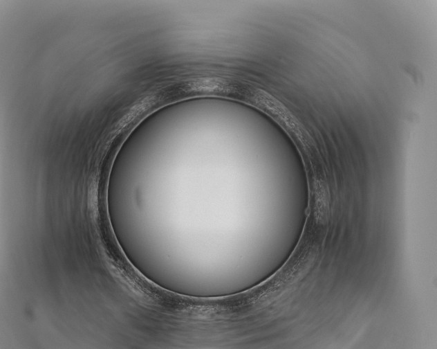 X0000110730482200906191529