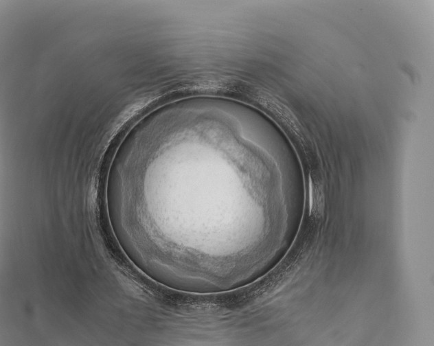 X0000110730483200906191529