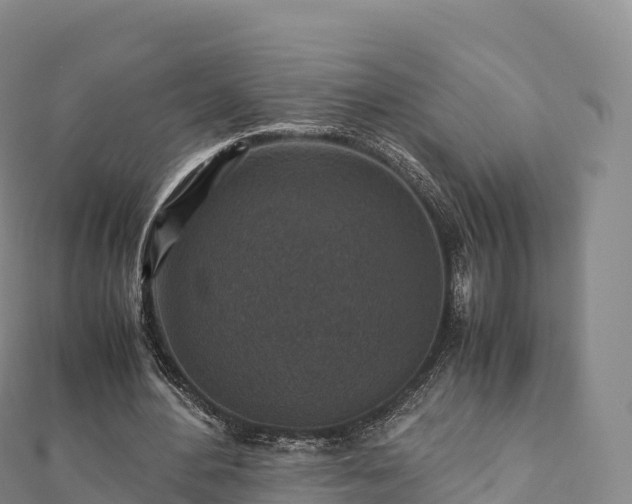 X0000110730484200906191529