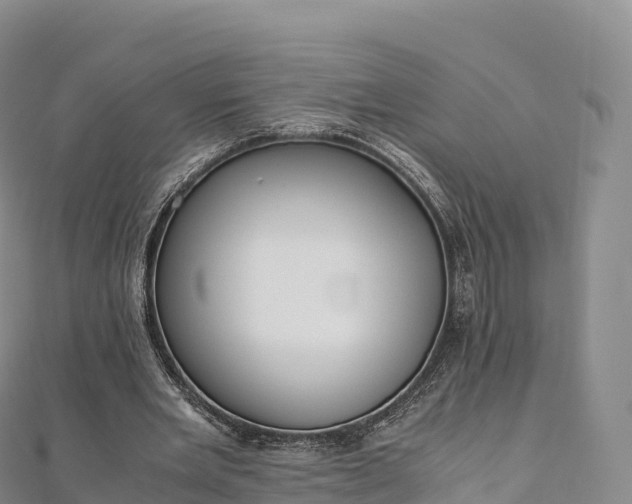 X0000110730485200906191529